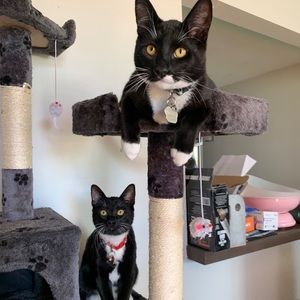 Meet your Posher, Jemma